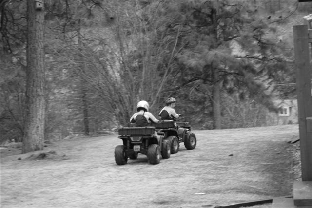 IMG_7505.JPG