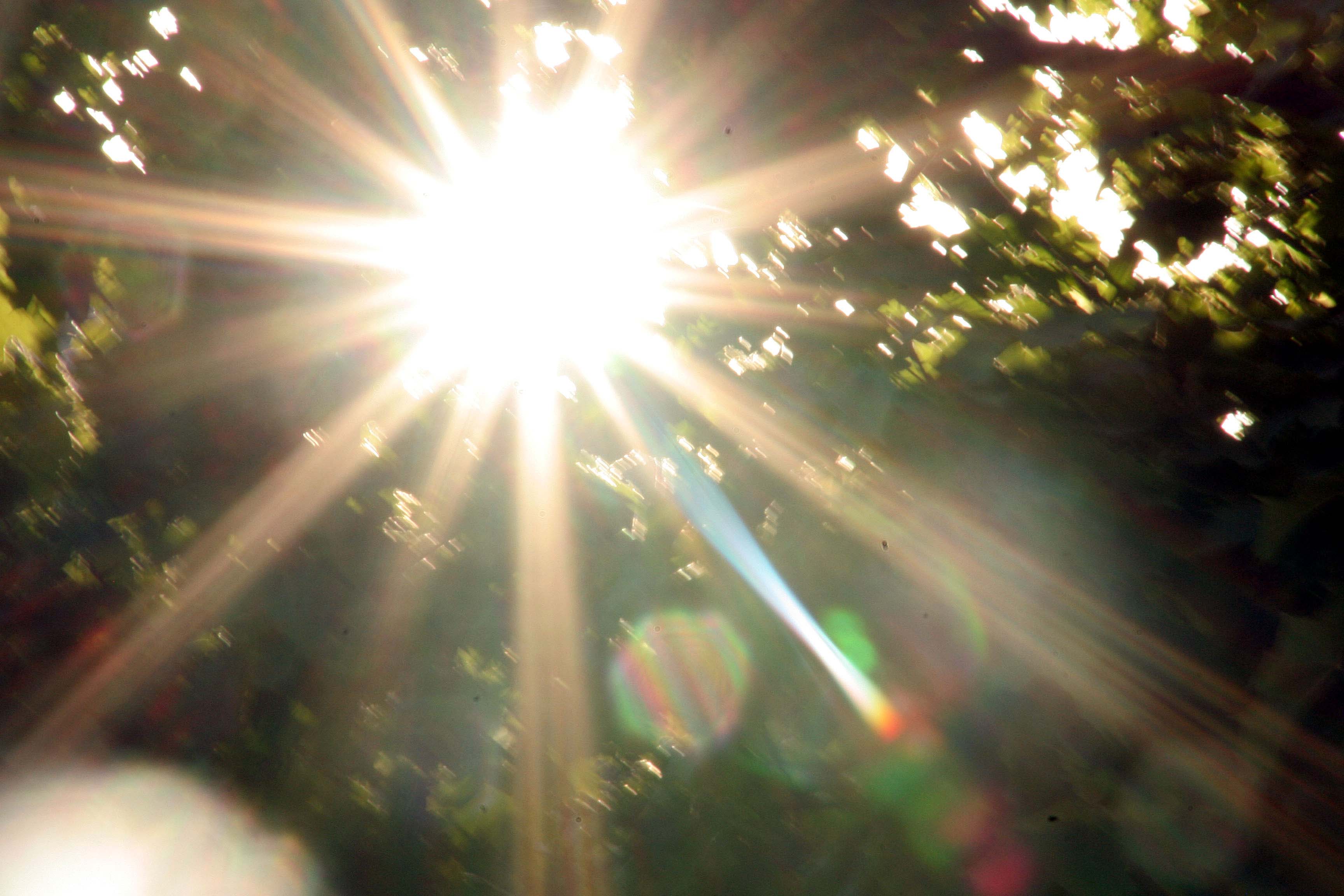 Filtered sun Filtered sun