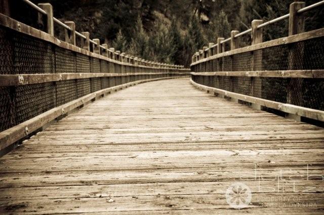The Trestle The Trestle
