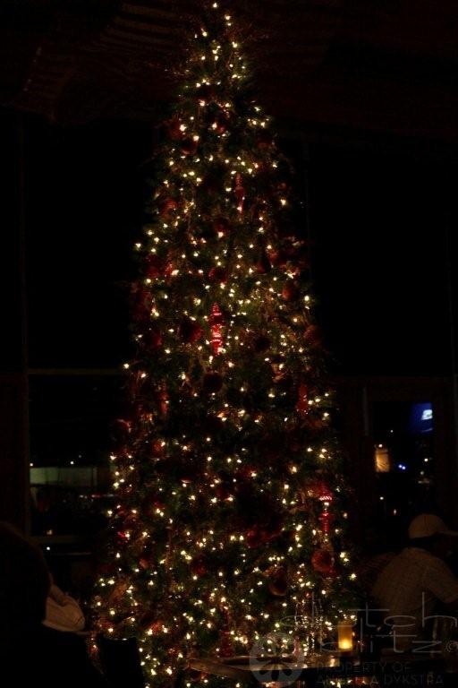 Restaurant Tree Restaurant Tree