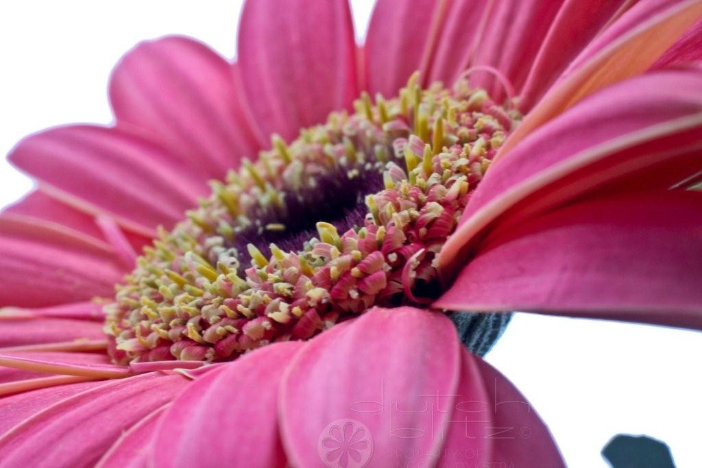 f/14, ISO 500