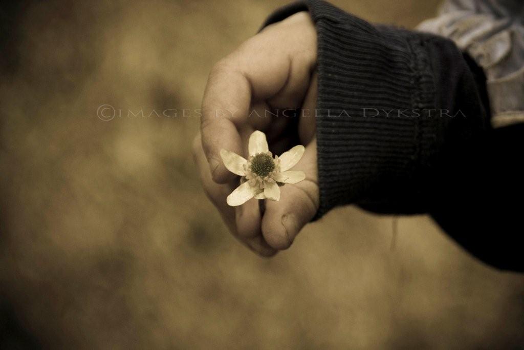 Buttercup
