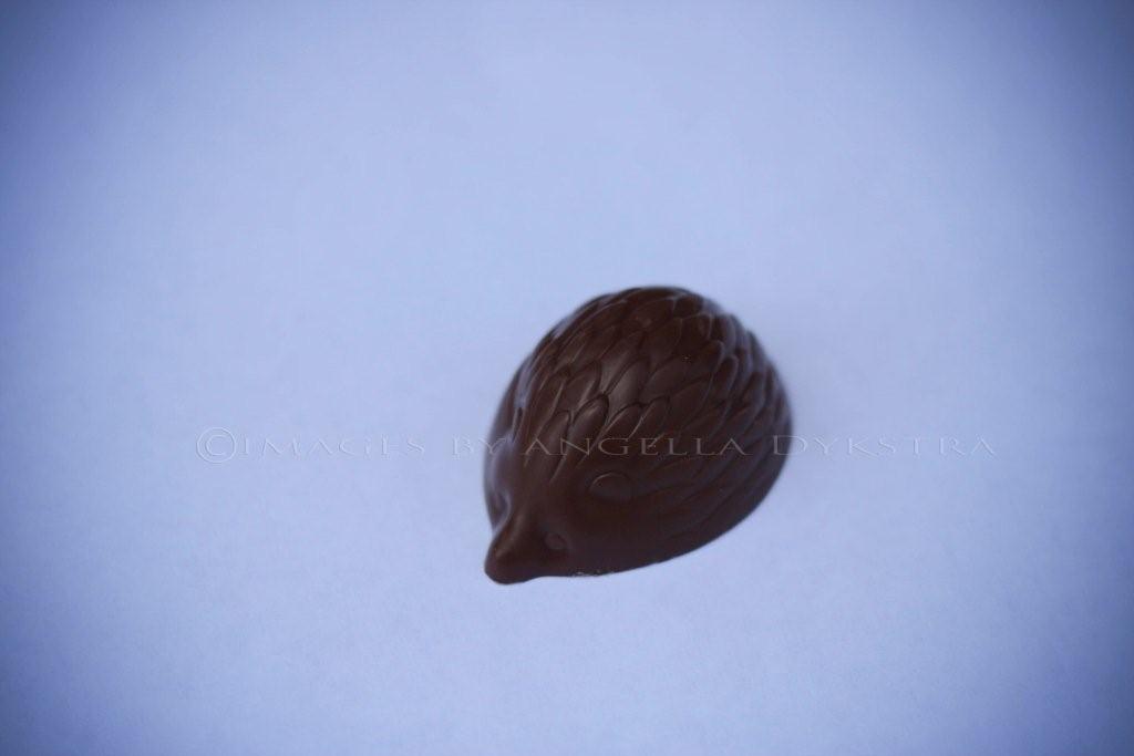 Hedgehog