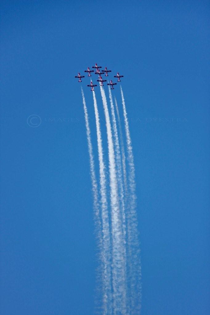 Snowbirds