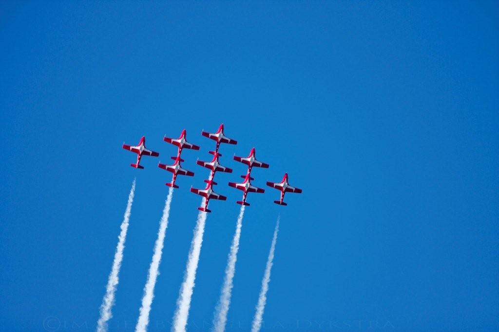 Snowbirds
