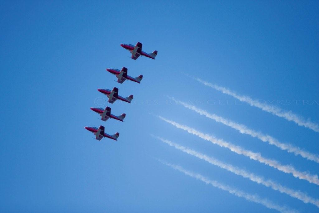 Snowbirds