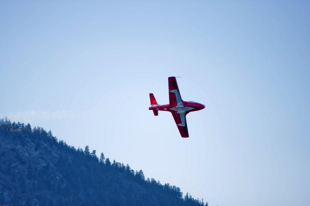 Snowbirds