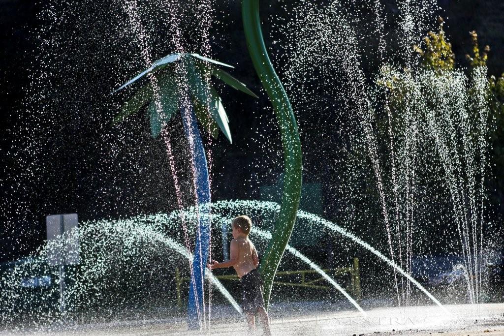 Water