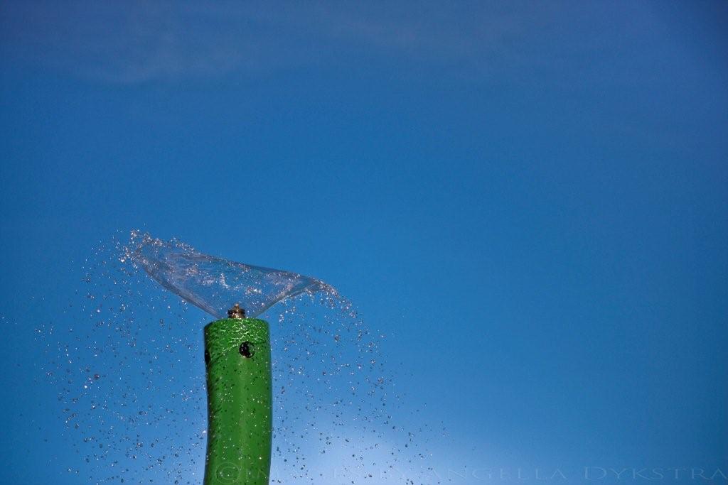 Water