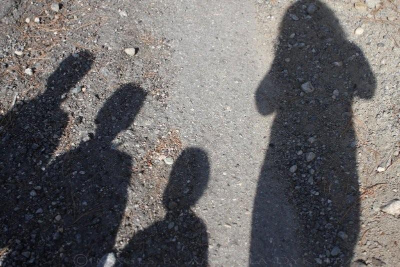 Four out of five