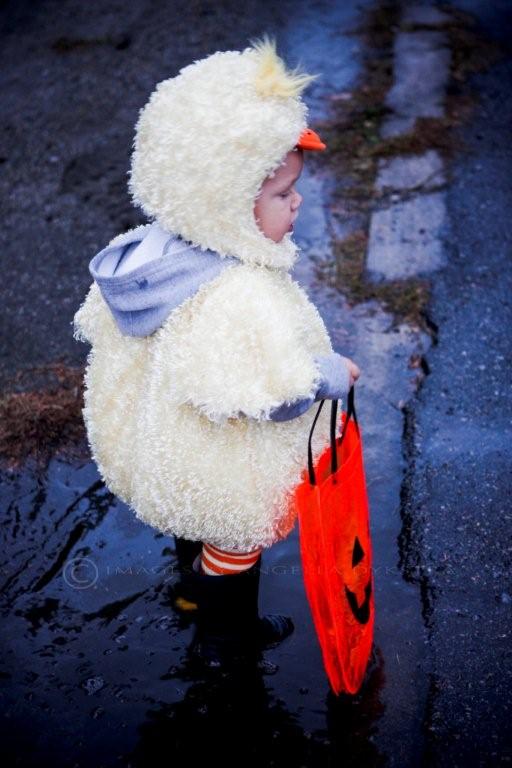 Quack!
