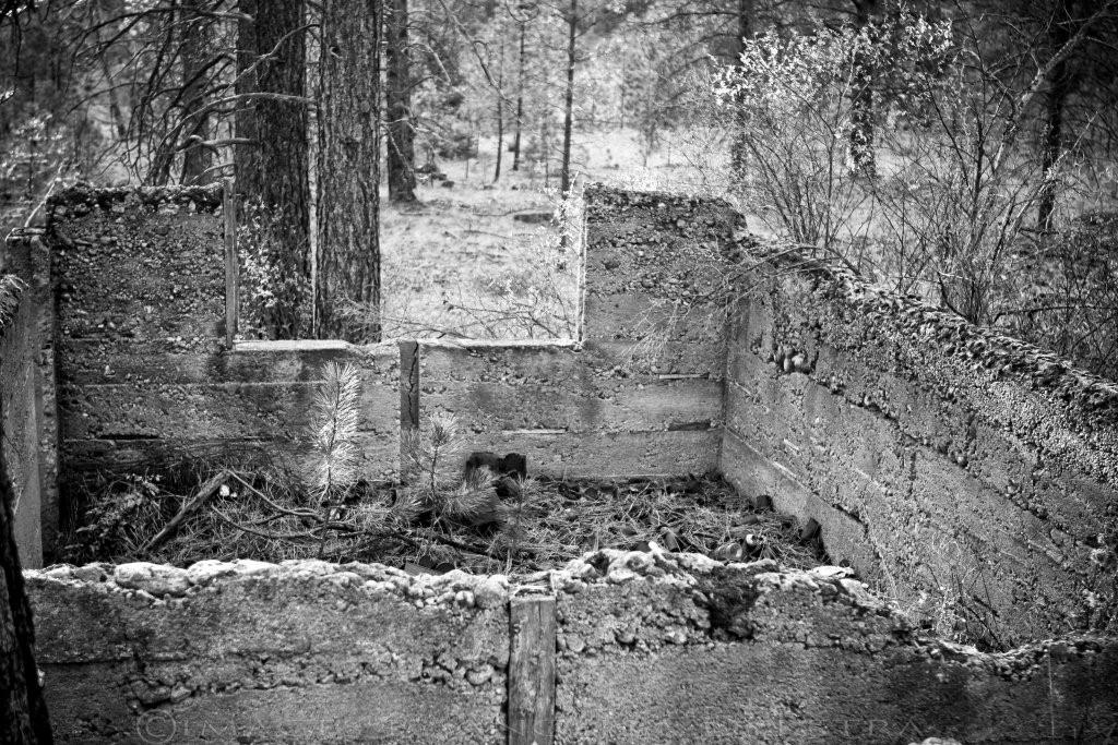 Foundation