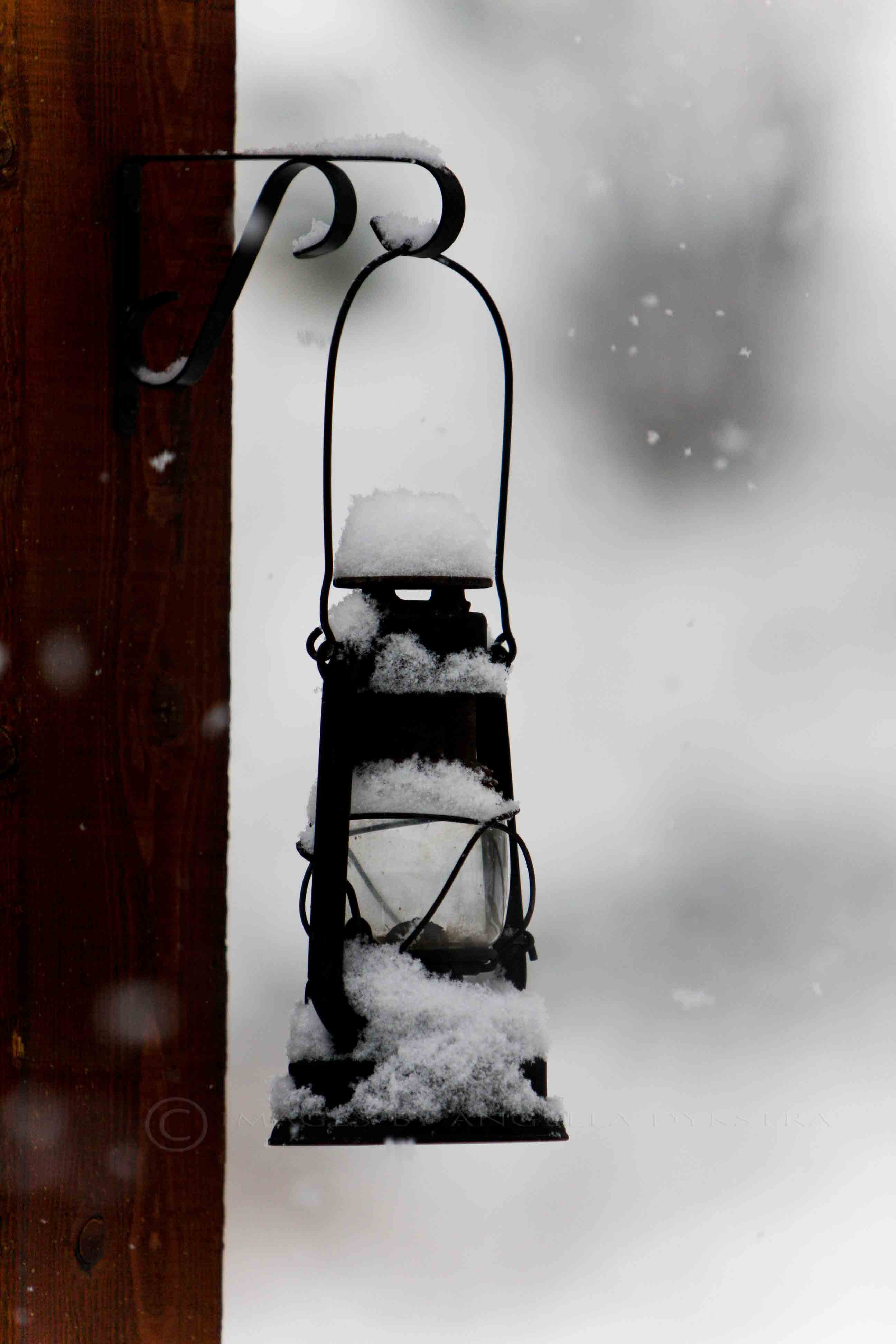 Lantern