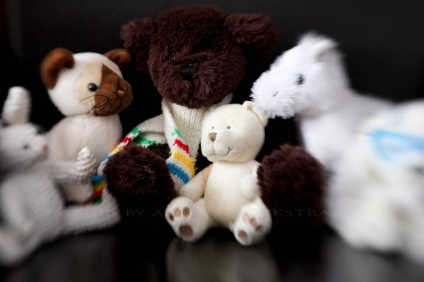 Teddies Teddies