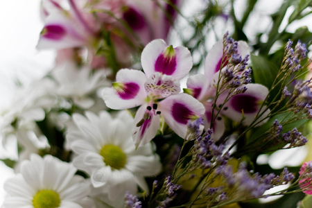 Bouquet Bouquet