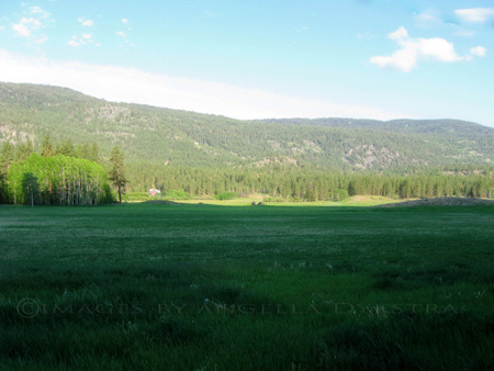 Meadow Valley Meadow Valley
