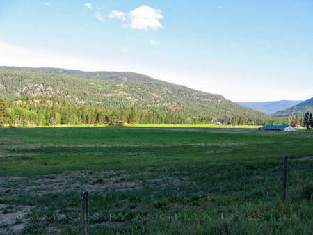 Meadow Valley Meadow Valley