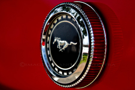 Mustang Mustang