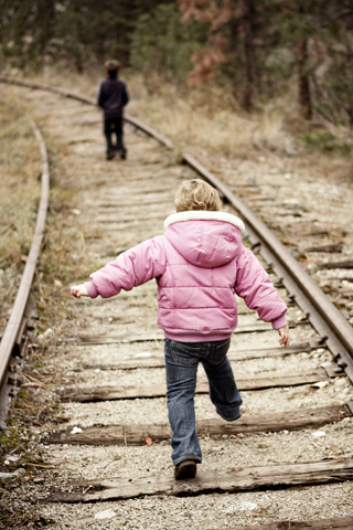 The tracks The tracks