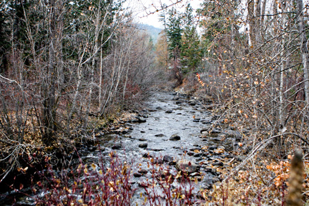 Trout Creek Trout Creek