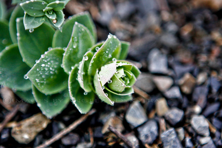 Droplets Droplets