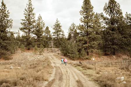 Exploring Exploring