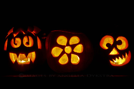 Punkins Punkins