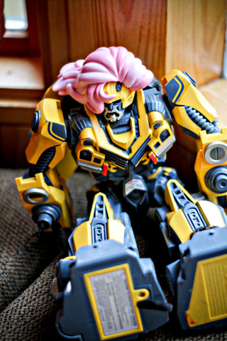 Nobody puts Bumblebee in the corner Nobody puts Bumblebee in the corner