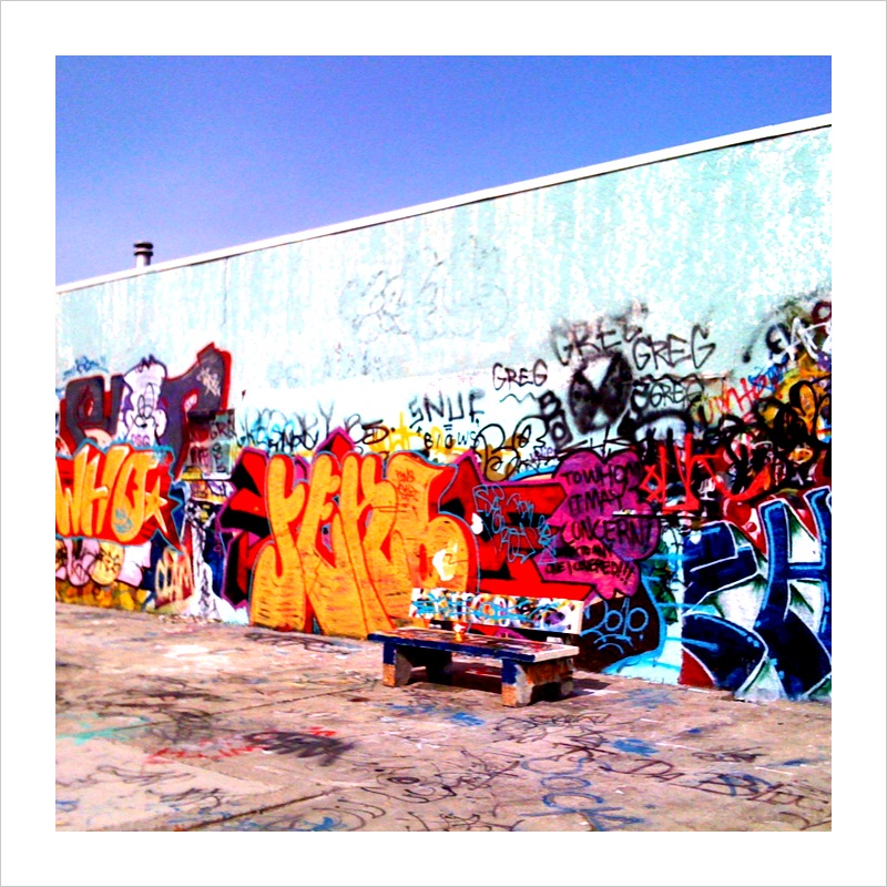 A whole lot of color in a little frame.