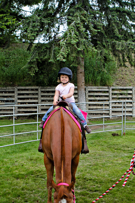 I'm on a HORSE