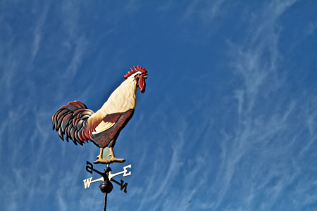 Rooster weather vane