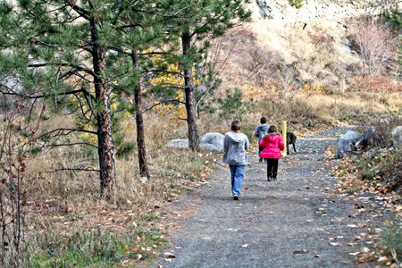 Walking
