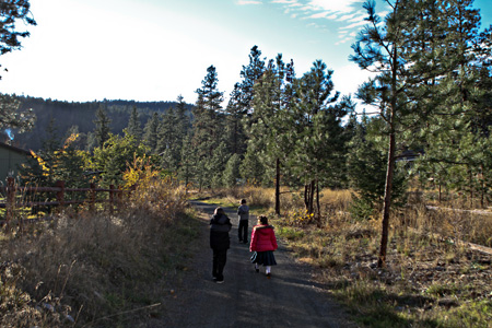 On The Trail