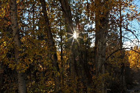 Sun flare