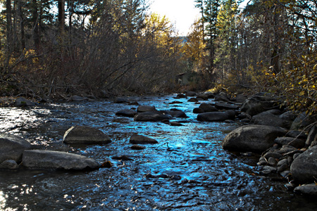 The Creek