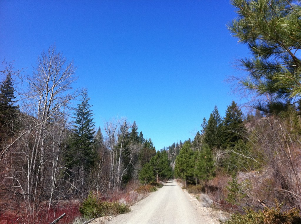 The Trail