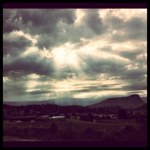 Rays of Sunshine