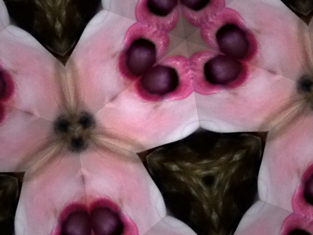 Lips. Yes, really. (It took me awhile, too.)
