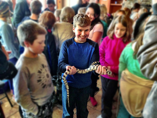 Monkeyfighting snakes!